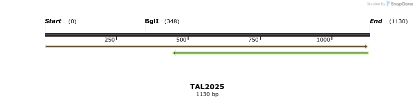 49685_map