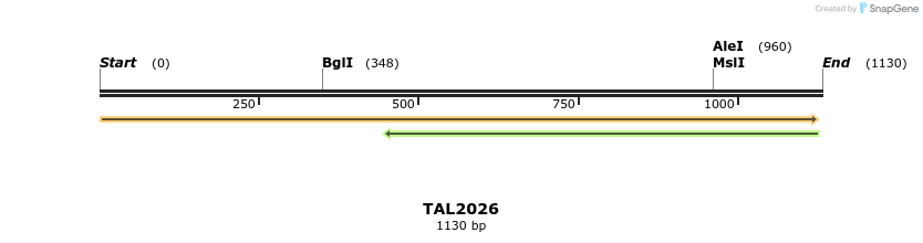 49686_map