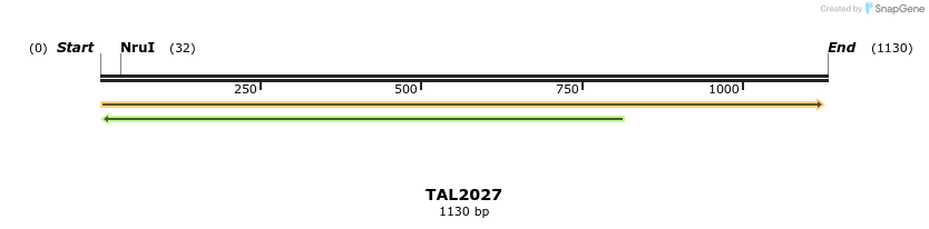 49687_map
