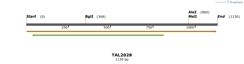 49688_map