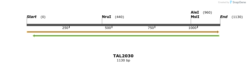 49690_map