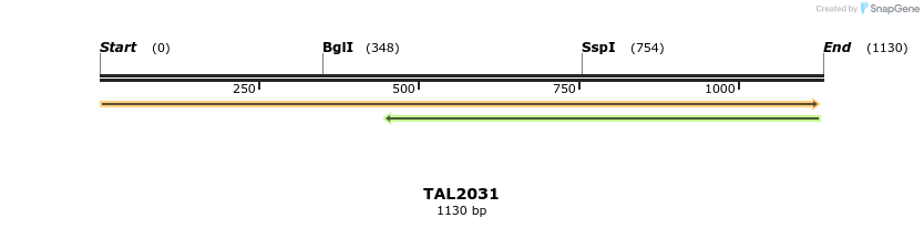 49691_map