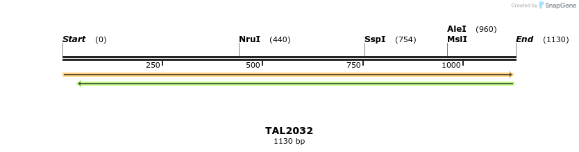 49692_map