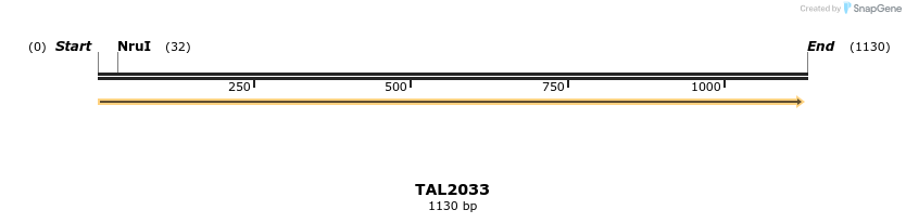 49693_map