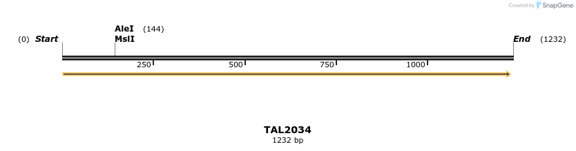 49694_map