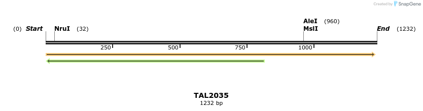 49695_map