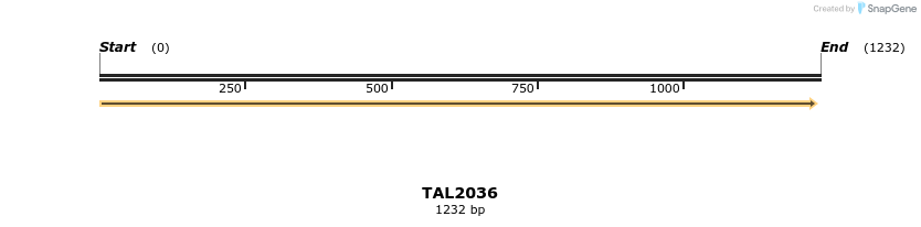 49696_map