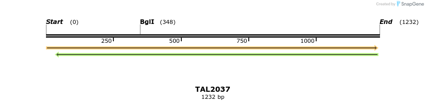 49697_map