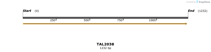 49698_map