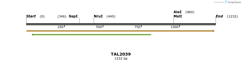 49699_map