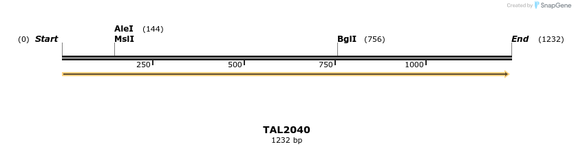49700_map