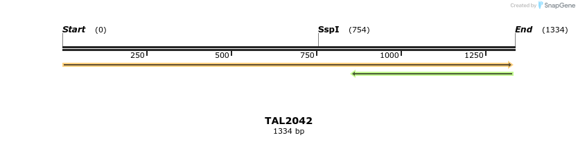 49702_map