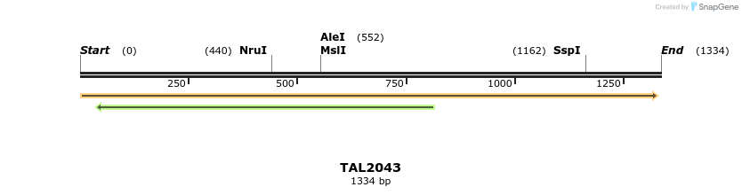 49703_map