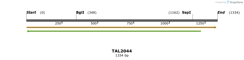 49704_map