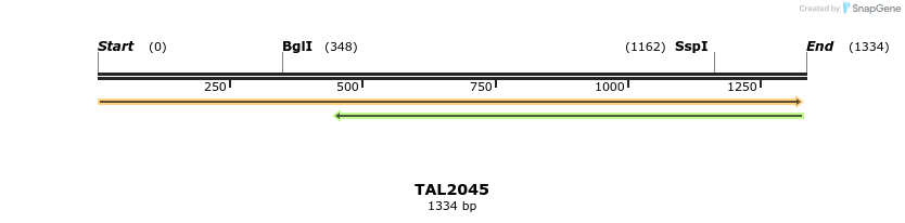49705_map