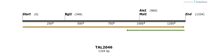49706_map
