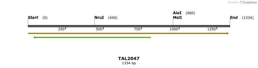 49707_map