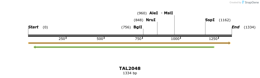 49708_map