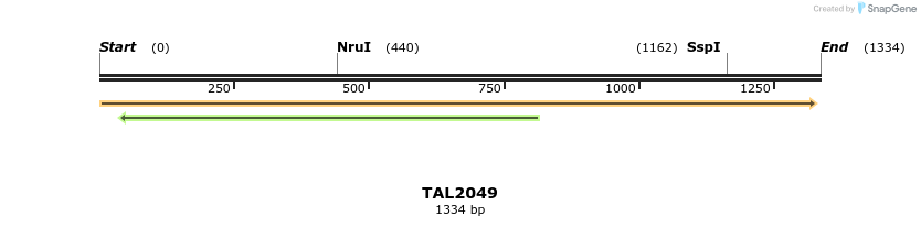 49709_map
