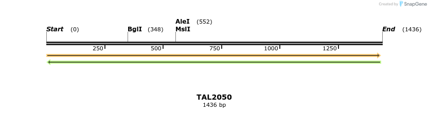 49710_map