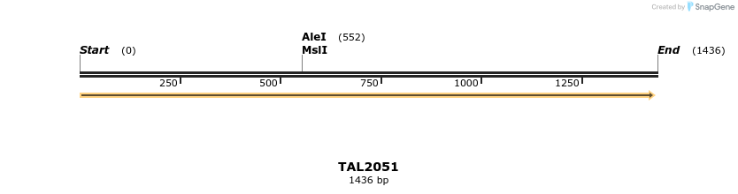 49711_map