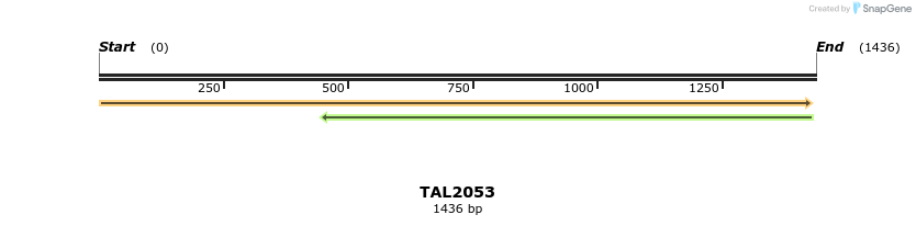 49713_map