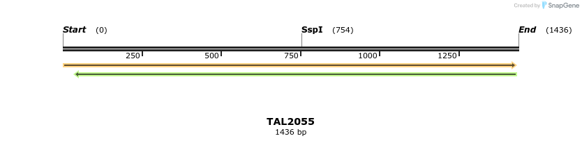 49715_map
