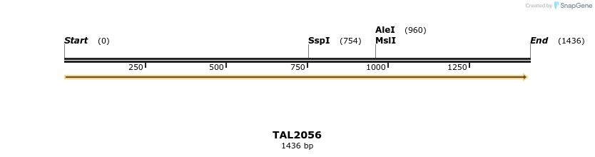 49716_map