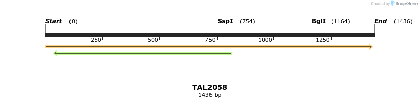 49718_map