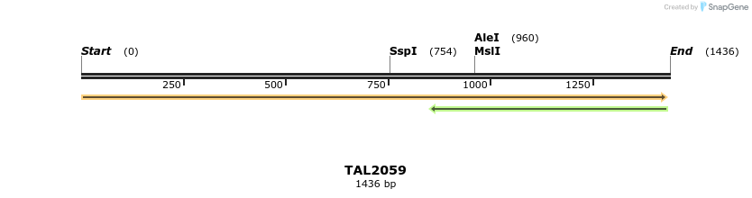 49719_map