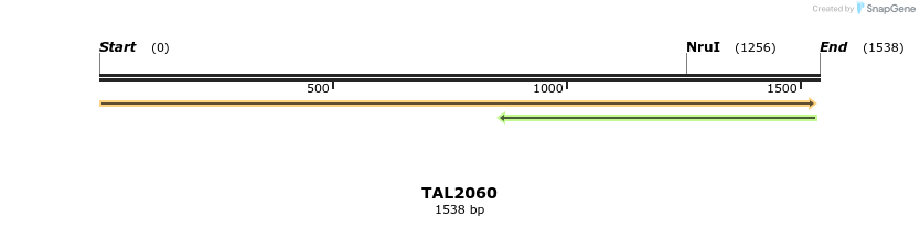49720_map