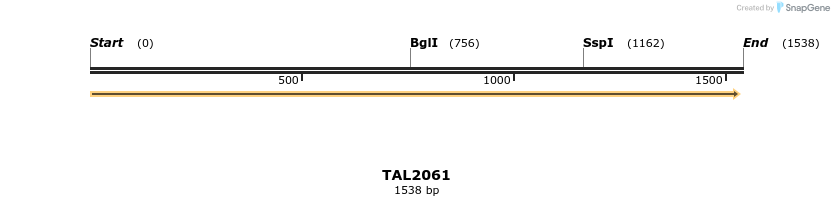49721_map