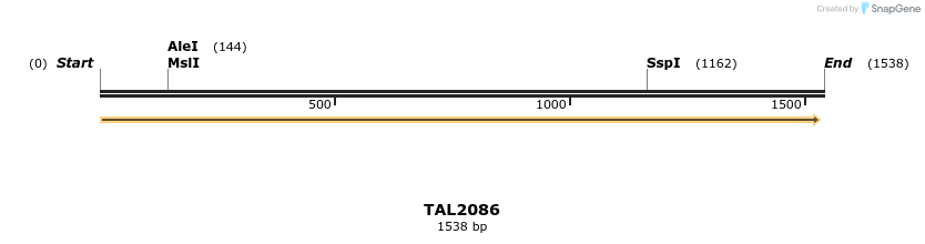 49722_map