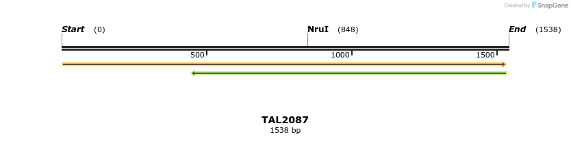 49723_map