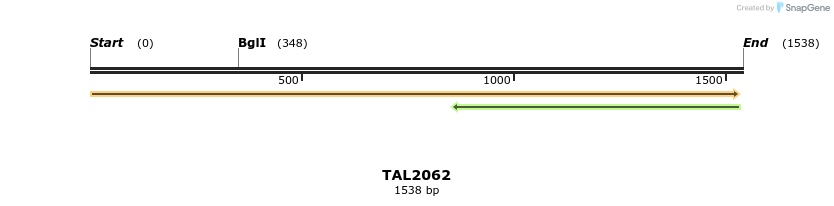 49724_map