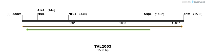 49725_map
