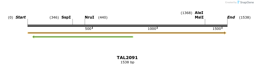 49727_map