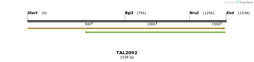 49728_map