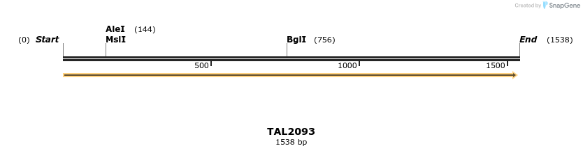 49729_map