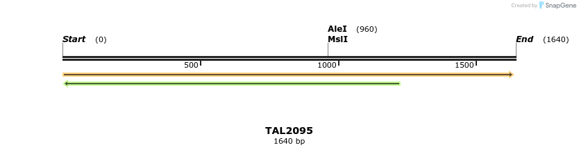 49731_map