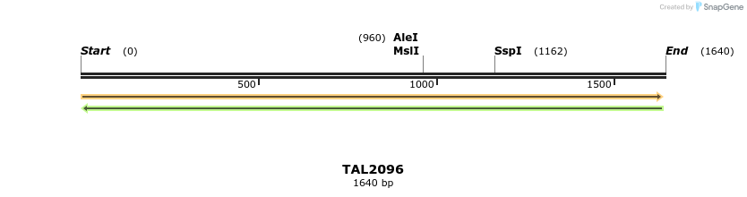 49732_map