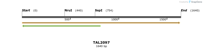 49733_map