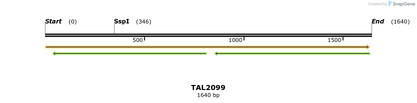 49735_map