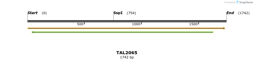 49737_map