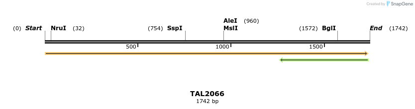 49738_map