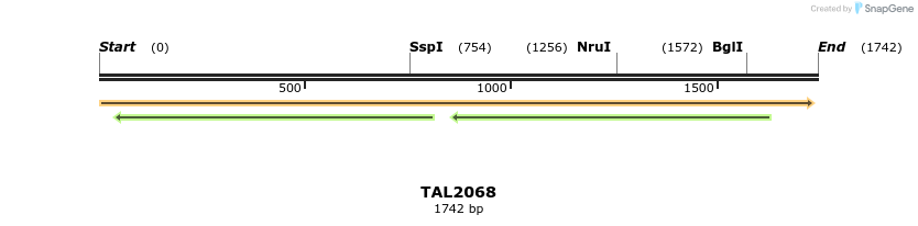 49740_map