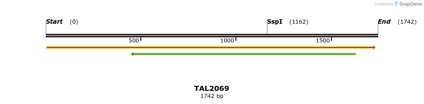 49741_map