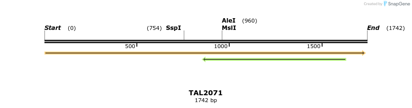 49743_map