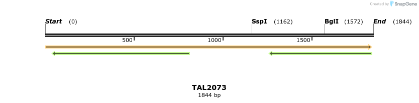 49745_map