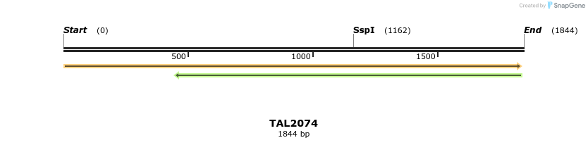 49746_map
